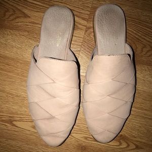 Seychelles survival mule